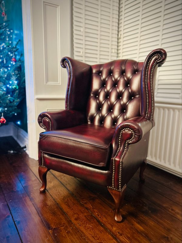 oxblood wingback