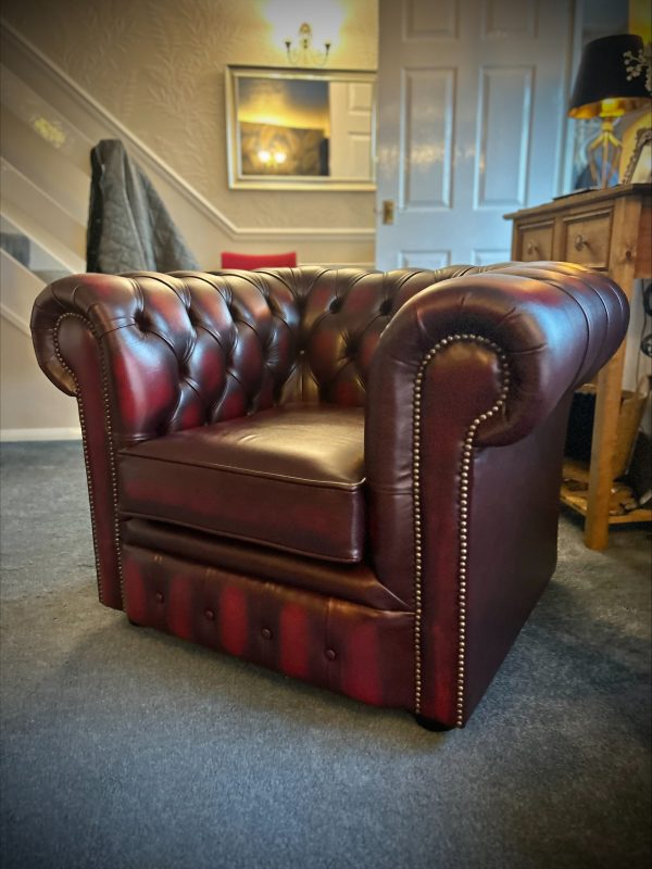 oxblood club